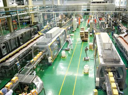 食品（pǐn）/飼料/塑膠（jiāo）企業廢氣處理